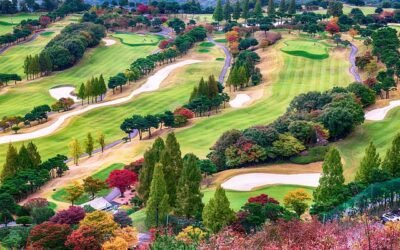 Les règles de base du golf expliquées